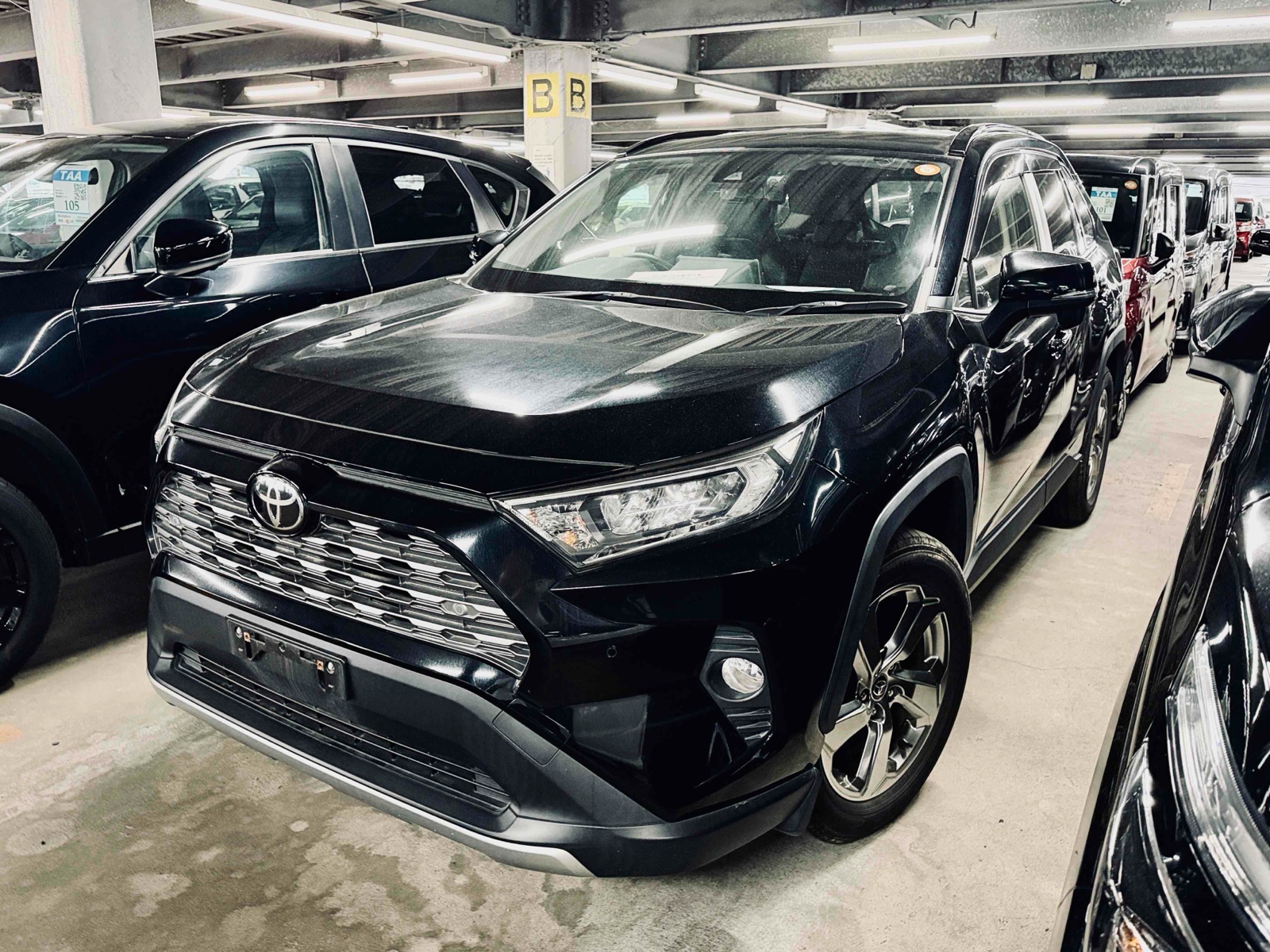 2019 TOYOTA RAV4
