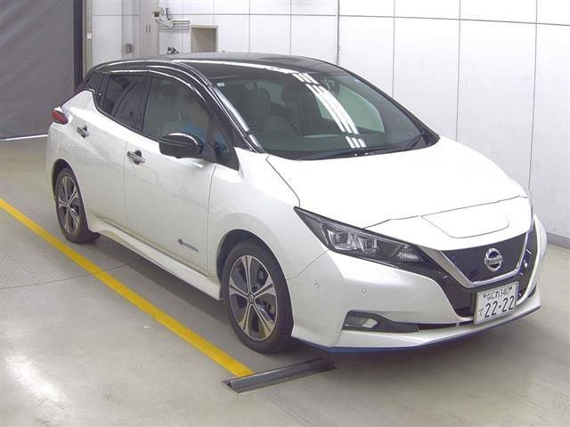 2021 NISSAN LEAF