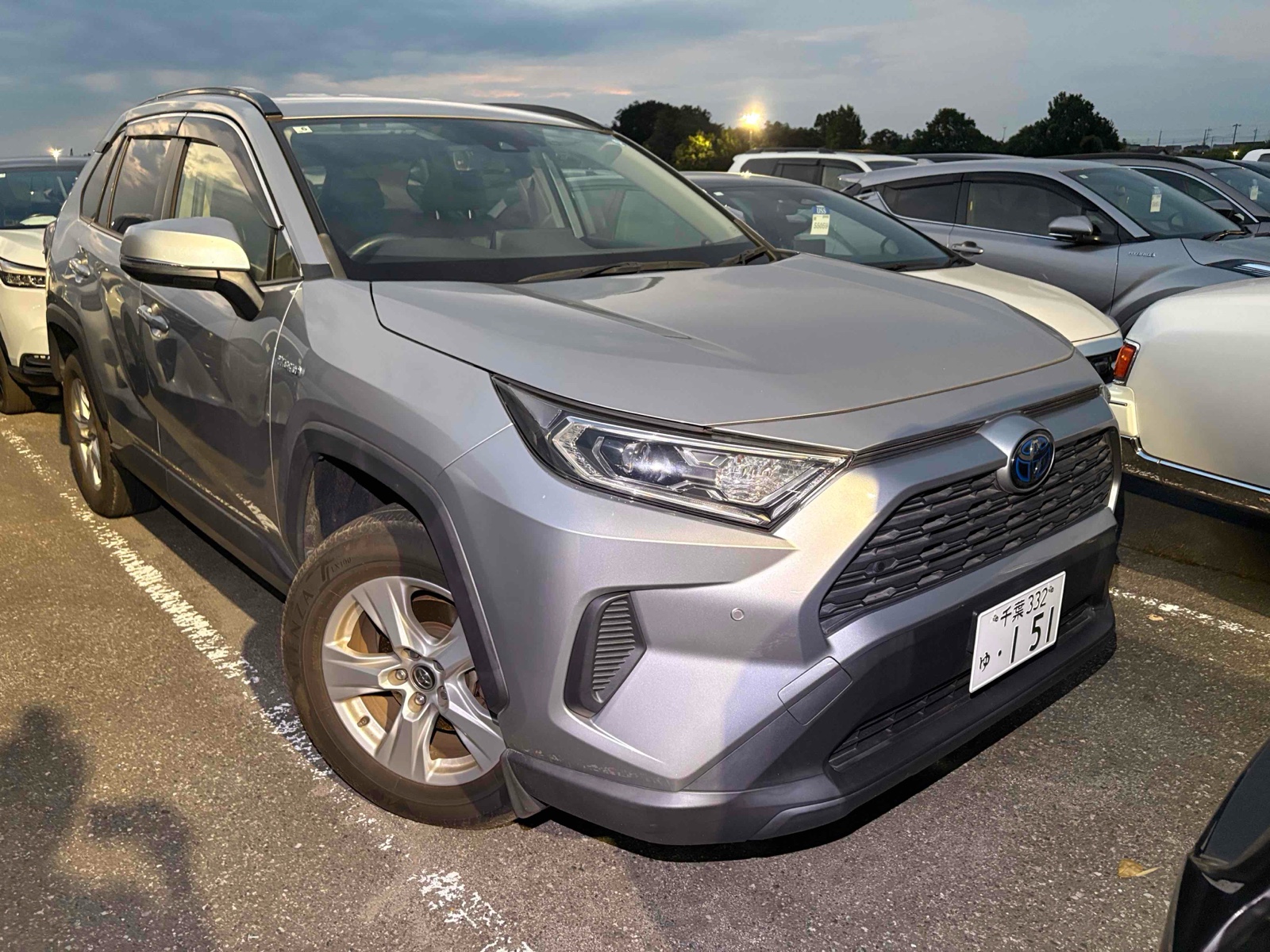 2019 TOYOTA RAV4