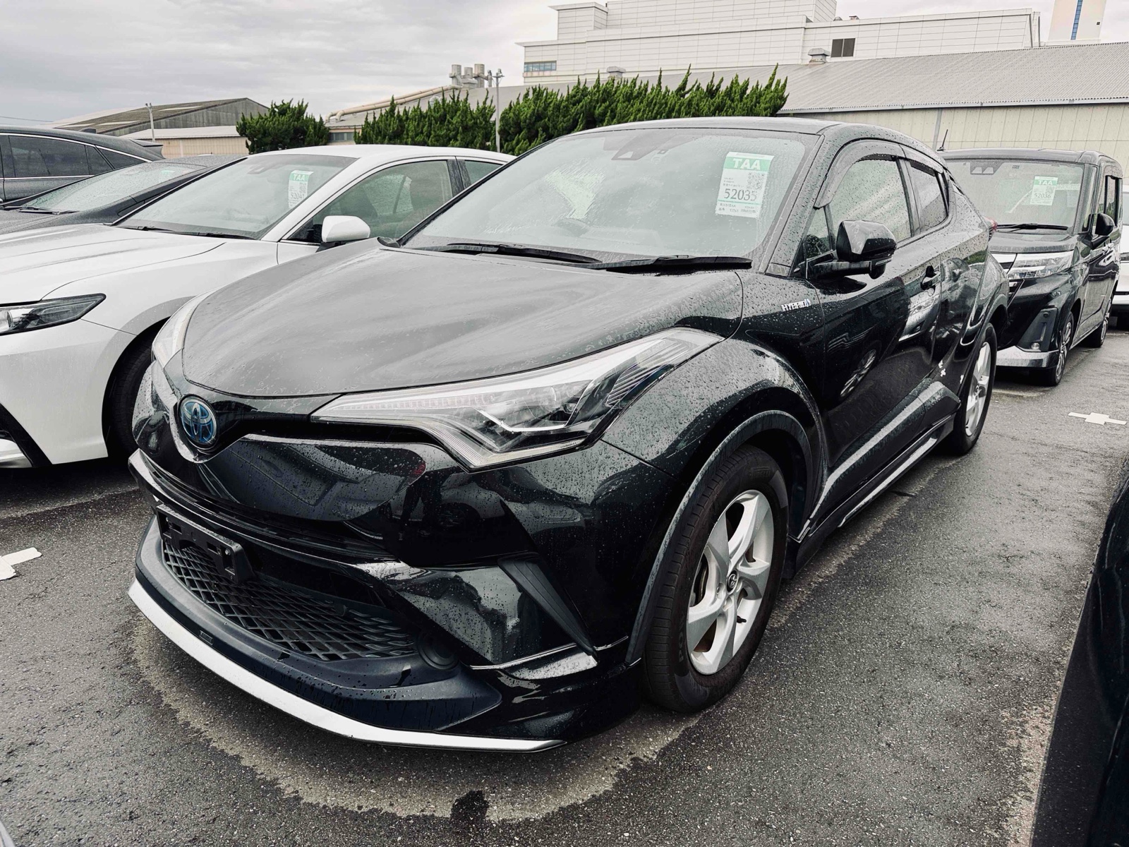 2019 TOYOTA C-HR