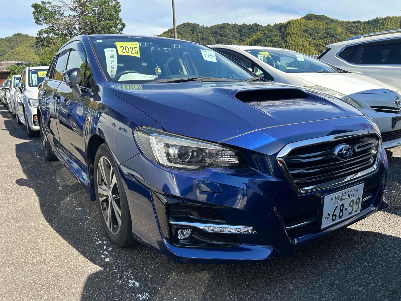 2019 SUBARU LEVORG