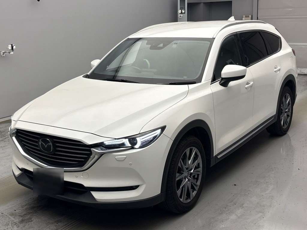 2019 MAZDA CX-8